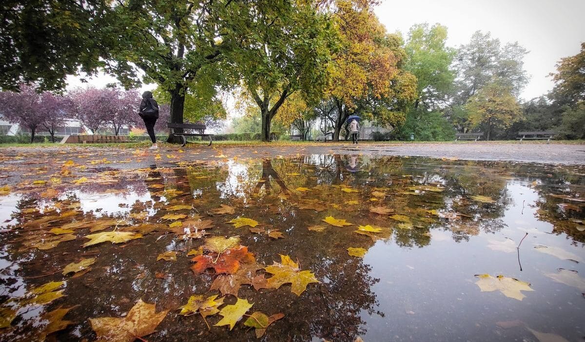 Bebeklerin yazı geliyor. Ekim ayına serin bir başlangıç yaptıktan sonra, 23 derece bile 1 Bebeklerin yazi geliyor ekim ayina serin bir baslangic yaptiktan sonra 23 derece bile 16901