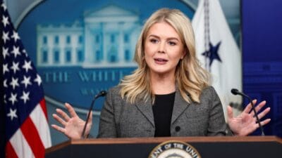 Beyaz saray dan putin gorusmesine sasirtici yanit leavitt annen 17943