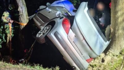 Bir geyikten kaçındı ve ağaçların arasından geçti. Kadın hastaneye kaldırıldı. 3 Bir geyikten kacindi ve agaclarin arasindan gecti kadin hastaneye kaldirildi 15018