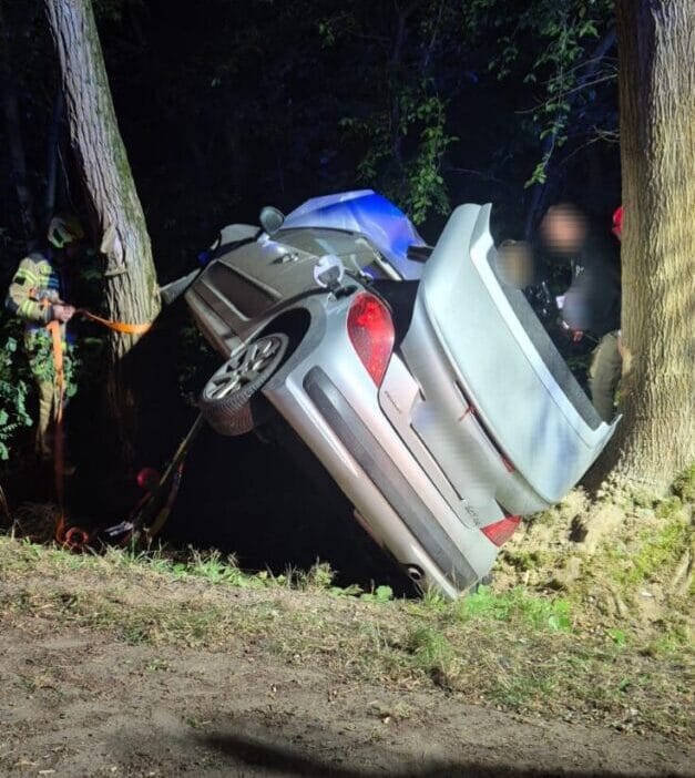 Bir geyikten kaçındı ve ağaçların arasından geçti. Kadın hastaneye kaldırıldı. 1 Bir geyikten kacindi ve agaclarin arasindan gecti kadin hastaneye kaldirildi 15018