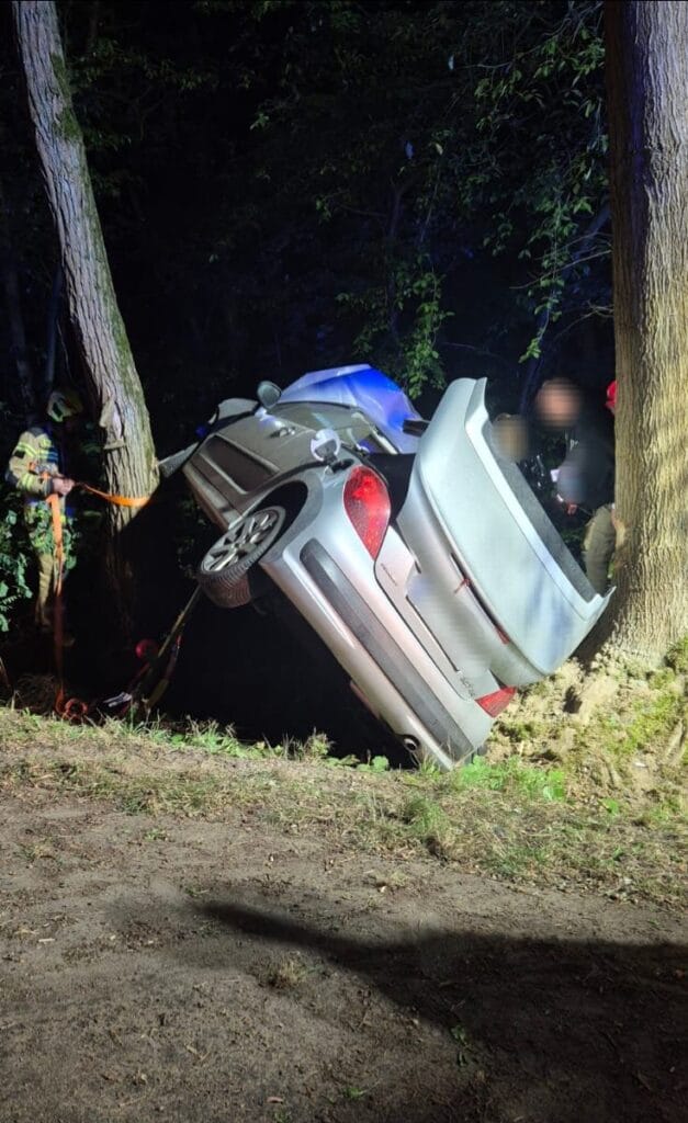 bir geyikten kacindi ve agaclarin arasindan gecti kadin hastaneye kaldirildi 15018