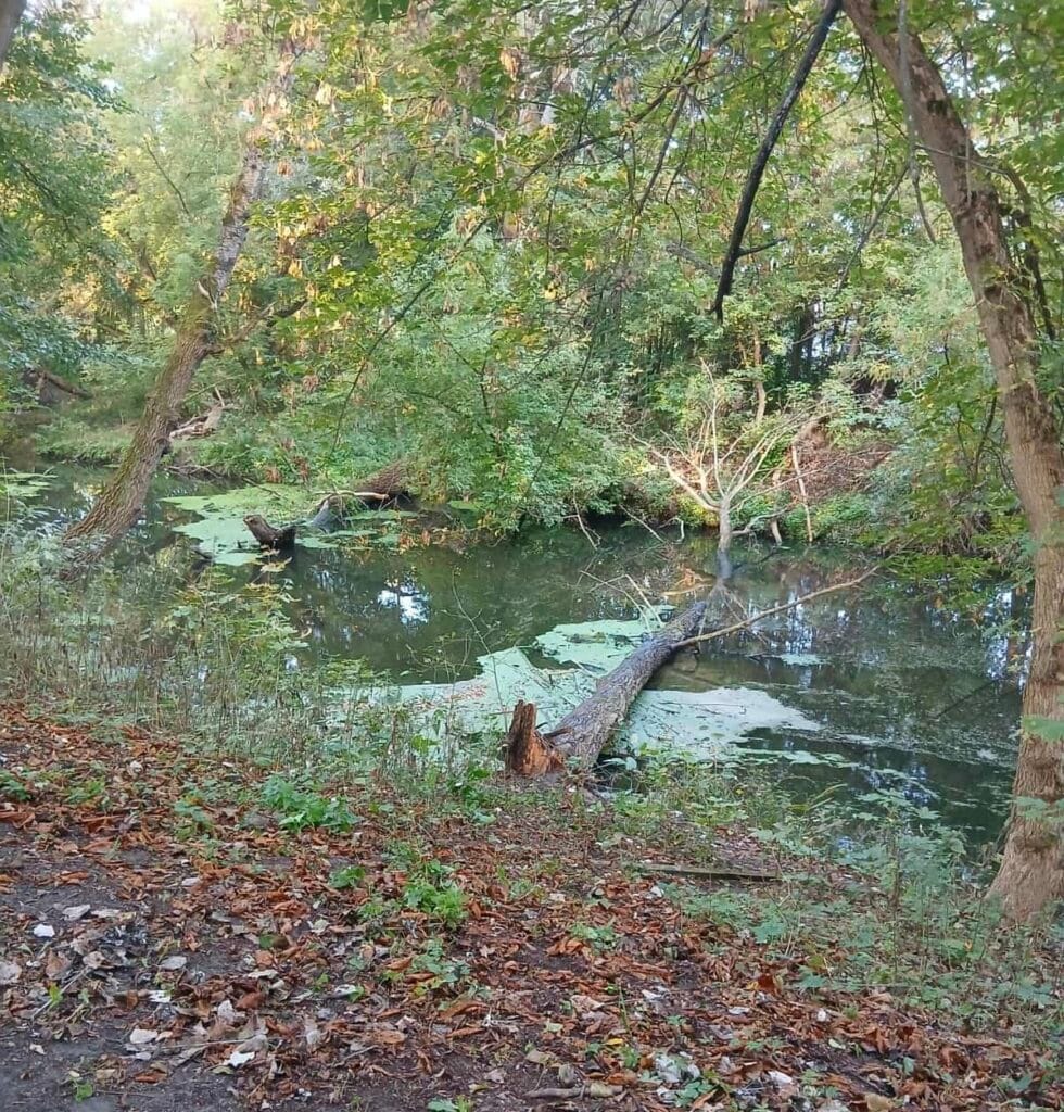 bir kadin nehre dustu bir dala tutunmus halde suda yuzerken gorgu taniklari tarafindan bulundu 14694