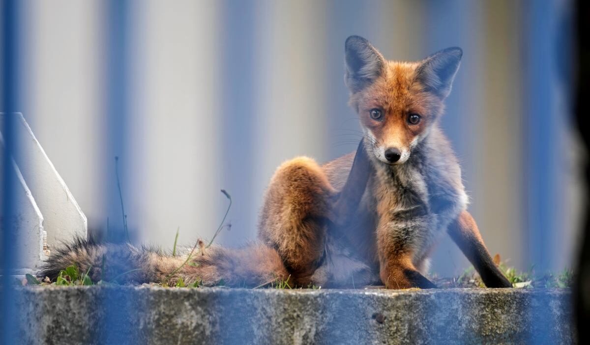 Bir sey i talya yi internetten kopardi butun bir kasaba dort gun boyunca felc oldu 19317