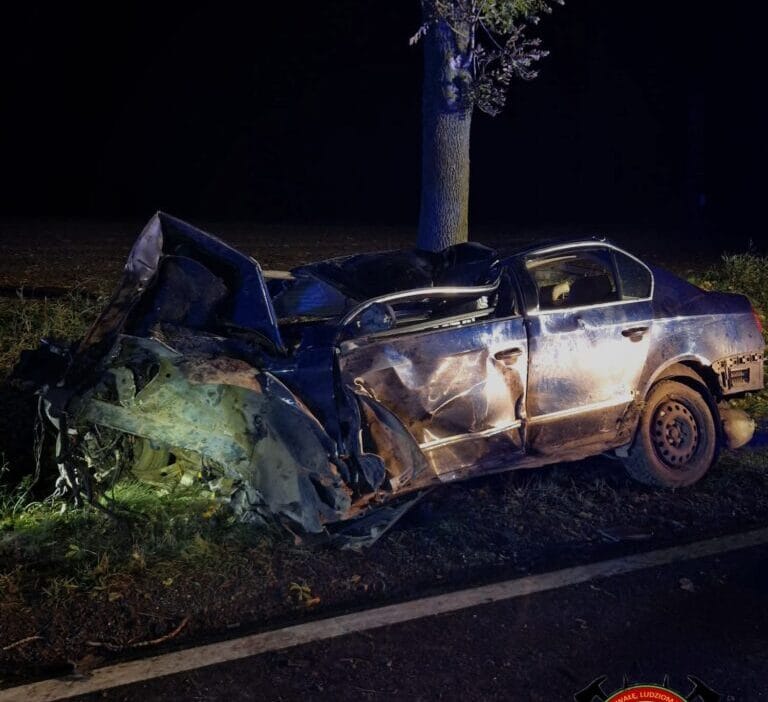 Bir yol setine bir agaca ve catiya carpti 23 yasindaki surucu oldu 19176