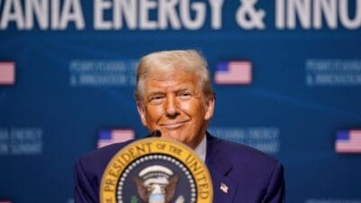 Donald trump in altin cicegi i sler maya gibi buyuyor 18270