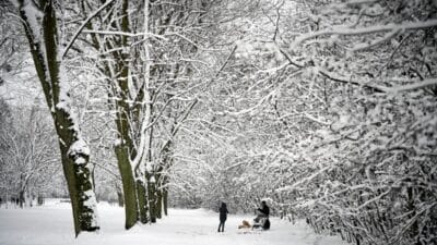 Gercek kis avrupa ya geri donuyor i ste sinyaller 17051