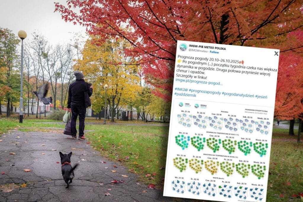 havalarda buyuk degisiklikler yaklasiyor sonbahar pencelerini gosterecek 18659