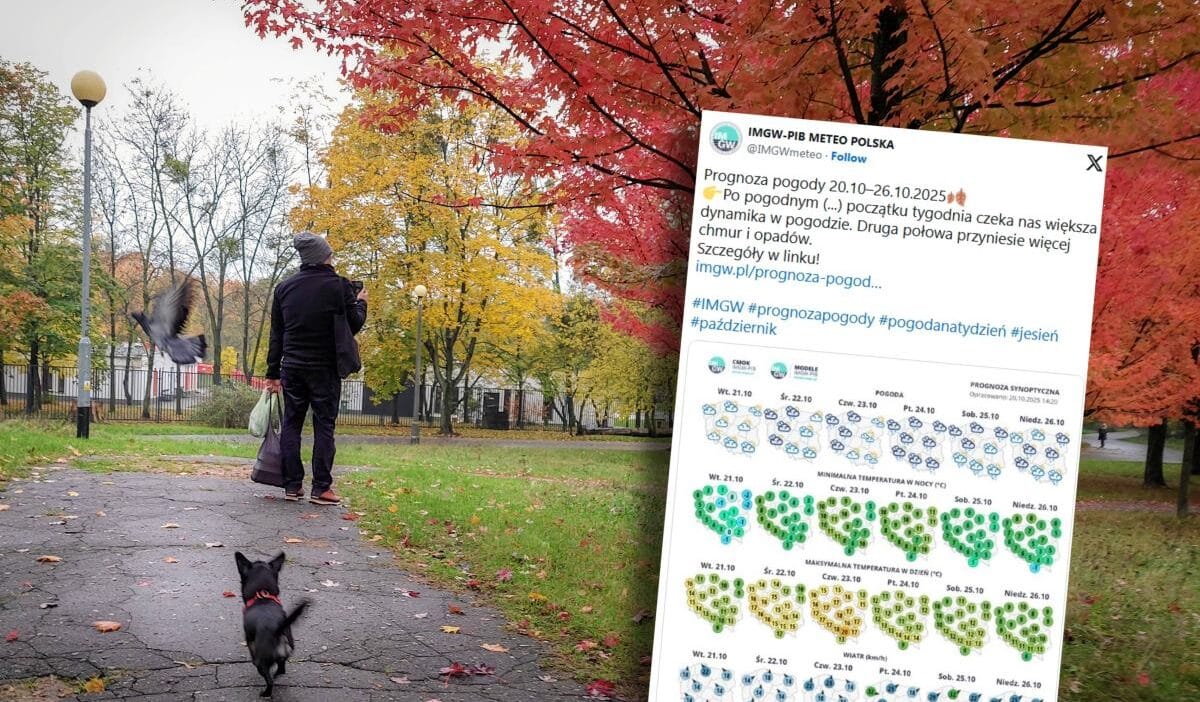 Havalarda buyuk degisiklikler yaklasiyor sonbahar pencelerini gosterecek 18659