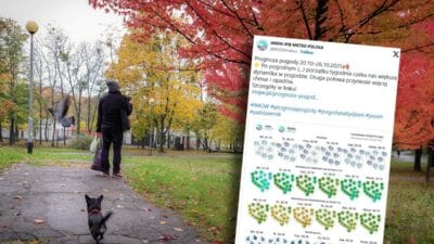 Havalarda buyuk degisiklikler yaklasiyor sonbahar pencelerini gosterecek 18659