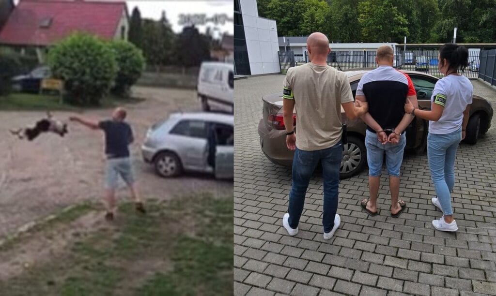 kopegi boynundan tuttugu ve yola dogru firlattigi iddia edilmistir bir iddianame var 16955