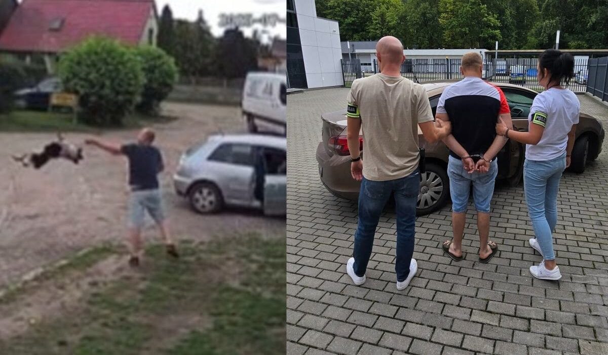 Kopegi boynundan tuttugu ve yola dogru firlattigi iddia edilmistir bir iddianame var 16955