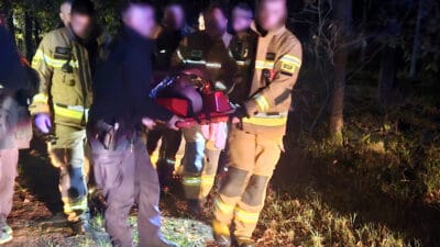 Mantar toplamak icin disari cikti ve kayboldu polis memurlari butun gece onu aradi 16367