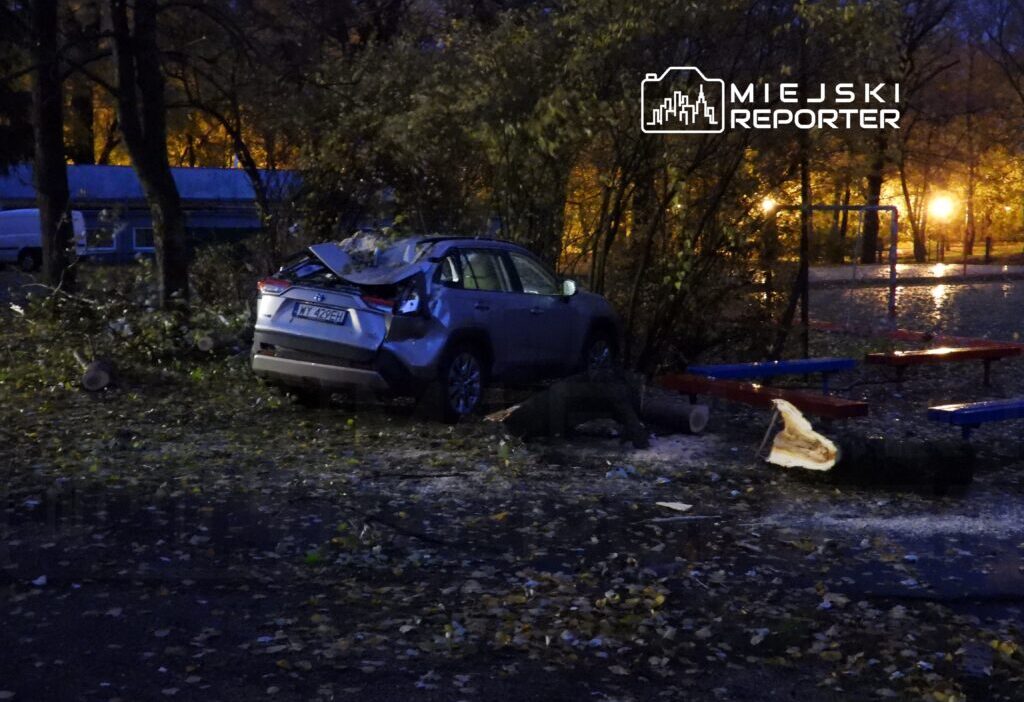 Mazowieckie voyvodalığı'ndan geçen fırtınayla bağlantılı olarak 200'den fazla itfaiye müdahalesi 1 Mazowieckie voyvodaligi ndan gecen firtinayla baglantili olarak 200 den fazla itfaiye mudahalesi 20296