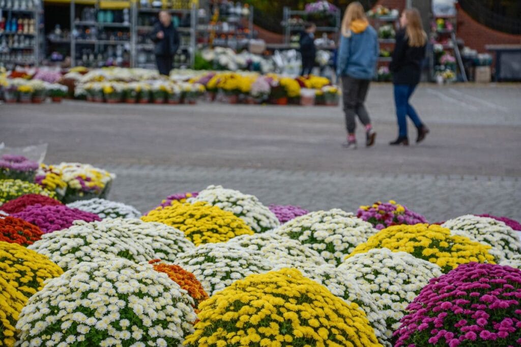 mezarliklarda 1 kasim dan once yeni kurallar 5 000 pln ye kadar para cezasi 19299