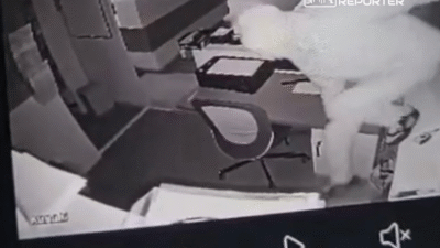 Mokotow'da bir dizi hırsızlık olayı yaşandı. Fail kırık camlardan içeri girdi (vi̇deo) 4 Mokotow da bir dizi hirsizlik olayi yasandi fail kirik camlardan iceri girdi vi deo 18677