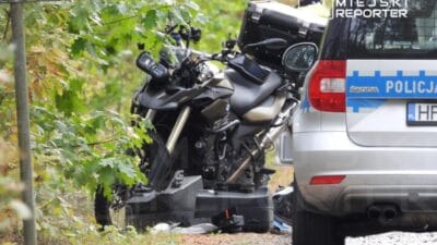 Motosiklet surucusu ile geyik carpisti surucu hayata donduruldu yolcunun durumu kritik 15174