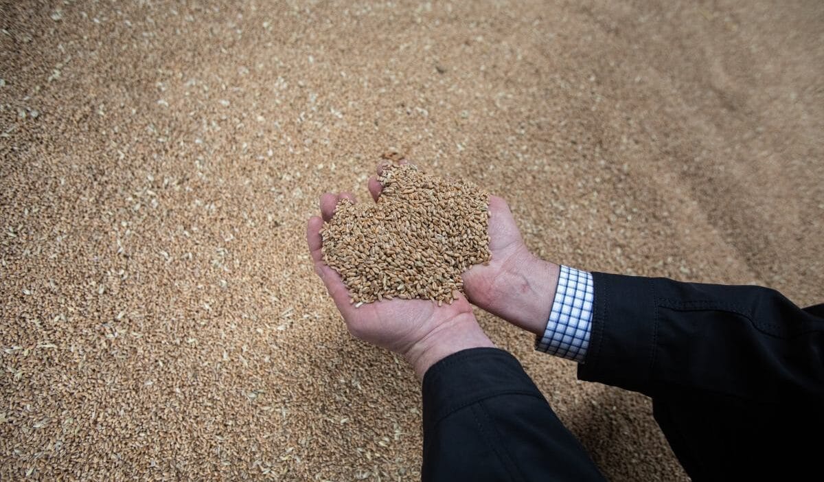 Nato ulkesi gida stoklamaya basladi buyuk miktarda para harcayacak soguk savas tan bu yana ilk kez 17628