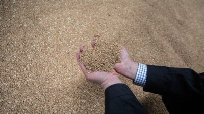 Nato ulkesi gida stoklamaya basladi buyuk miktarda para harcayacak soguk savas tan bu yana ilk kez 17628