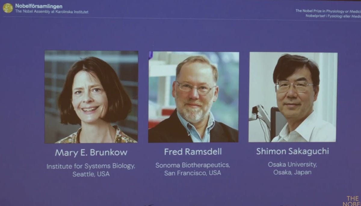 Nobel odulu 2025 tip alaninda odul kazananlar belli oldu 15285