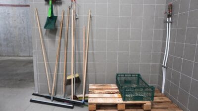 Opole hayvanat bahcesinde urkutucu bir kesif i clerinden kurtcuklar dokuluyordu 16355