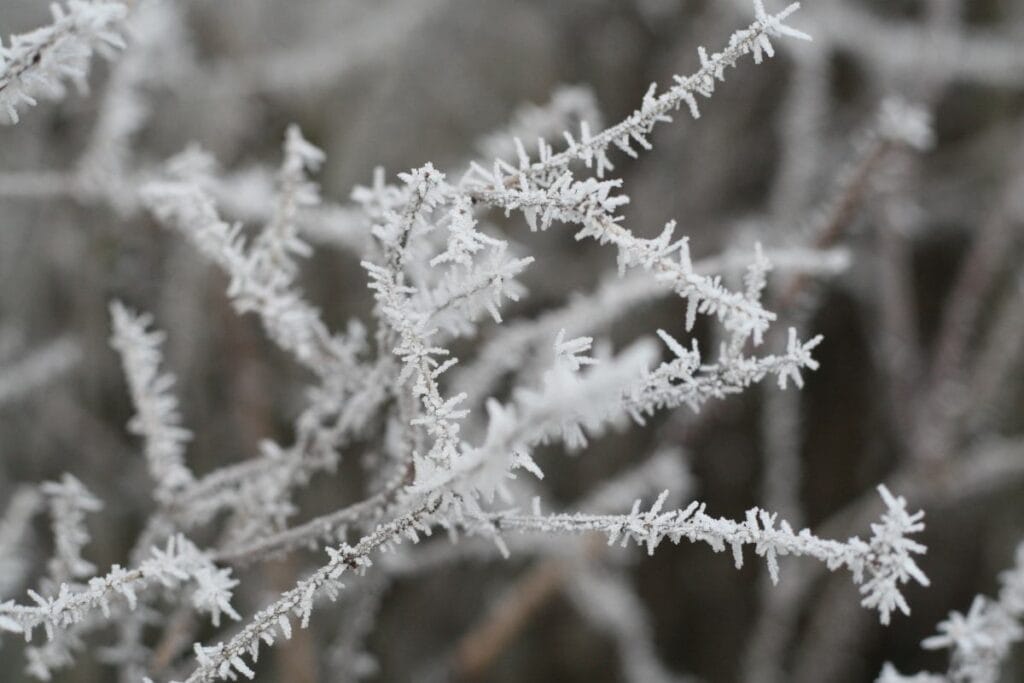 polonya da kis havasi mi imgw don tahminleri yapiyor 14258
