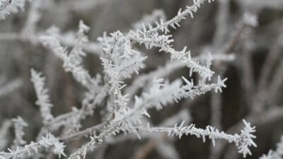 Polonya da kis havasi mi imgw don tahminleri yapiyor 14258