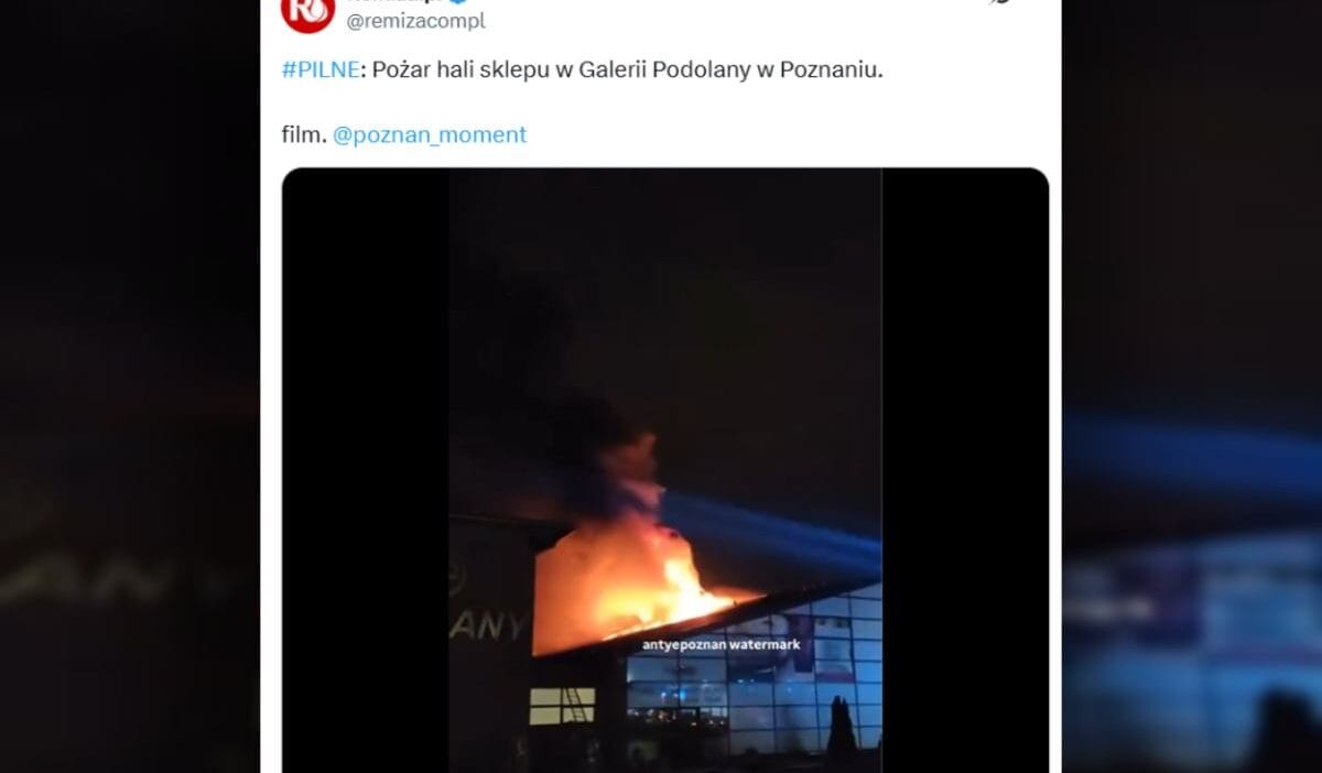 Poznan da buyuk bir galeri yangini binada bir papagan evi var 16673