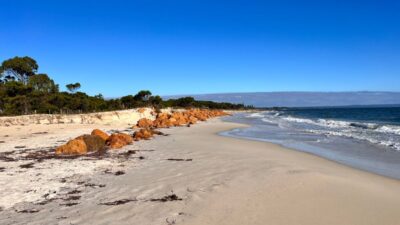 Sahilde sıra dışı bir buluntu. "sanki mezarın ötesinden elini uzatmış gibi". 2 Sahilde sira disi bir buluntu sanki mezarin otesinden elini uzatmis gibi 20202