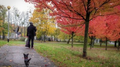 Sieglinde yaylalari avrupa nin havasini degistiriyor polonya iki etkinin sinirinda 16217