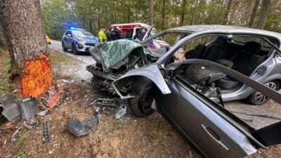 Surucu bir agaca carpti adam oldu polis olayla ilgili gorgu tanigi ariyor 17252