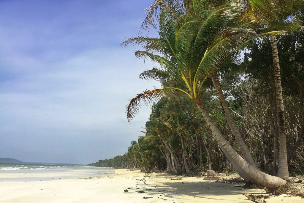 tatilde trajedi luks bir gemi yolculuguna cikti onu bir adada yalniz birakmislar 20093