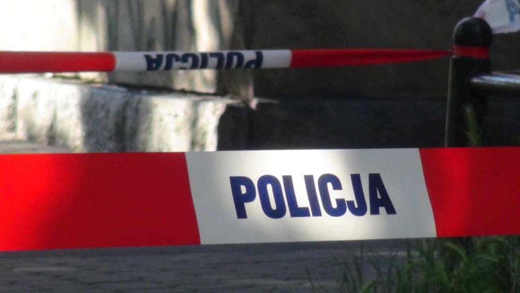 Vahsi cinayet 72 yasindaki bir adam tornavidayla saldirdigi 62 yasindaki bir adami oldurdu bir iddianame var 19080