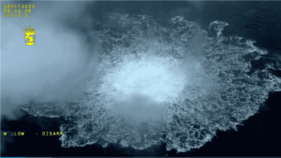 Volodymyr z icin avrupa tutuklama emri ve mahkeme gozalti karari 14619