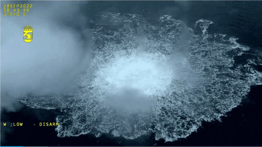 Volodymyr z icin avrupa tutuklama emri ve mahkeme gozalti karari 14619