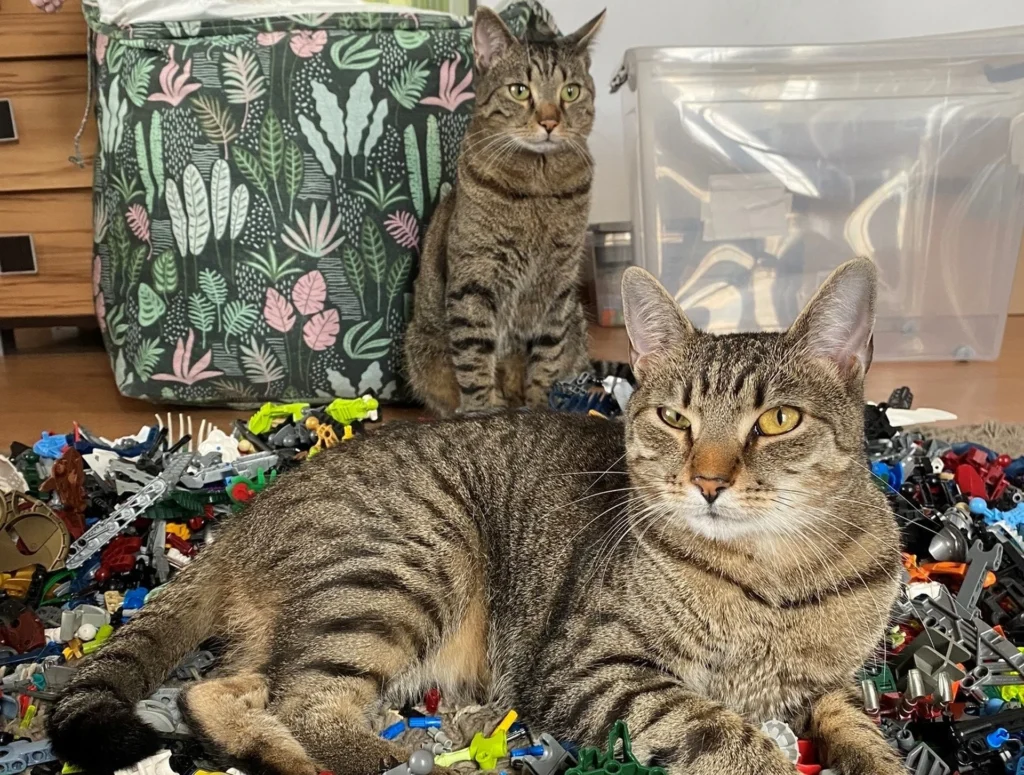 000HQWRN36I2T0HI C124