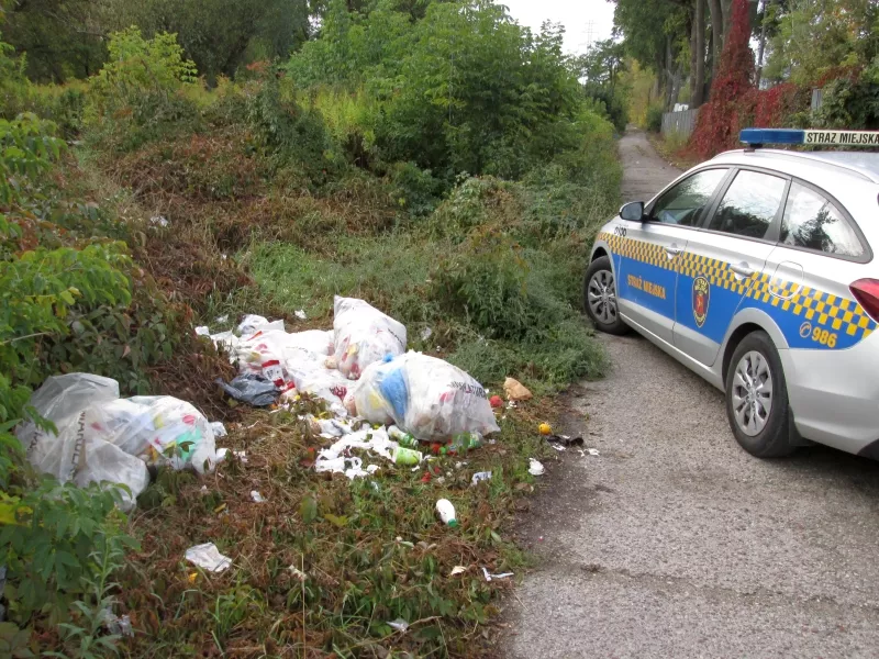 Bekciler atik doken failin izini suruyor 22332