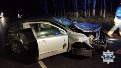 Bir binek arac ile bir geyik carpisti i ki kisi yaralandi dikkatli olalim ve yoldaki vahsi hayvanlara dikkat edelim 23777