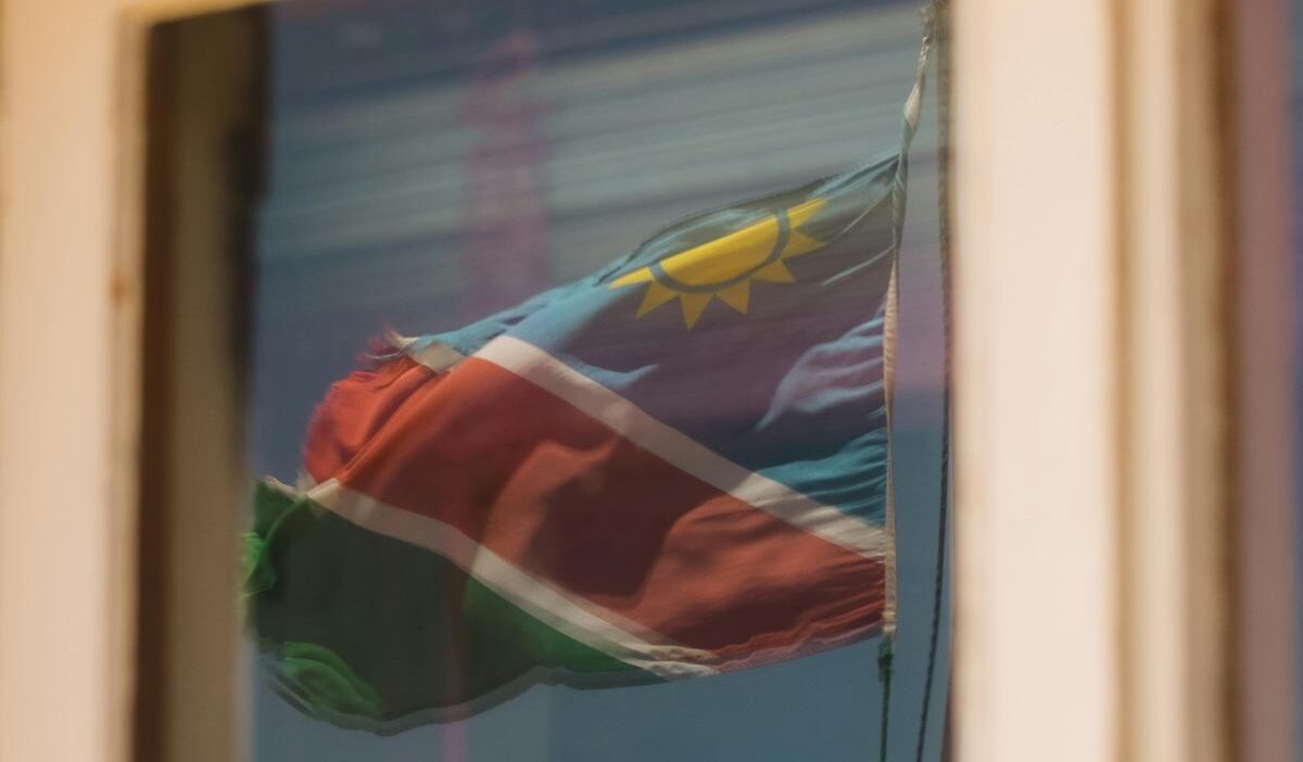 Bu saka degil adolf hitler secimlere katiliyor ve yeniden secilme sansi var 25651