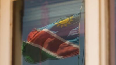 Bu saka degil adolf hitler secimlere katiliyor ve yeniden secilme sansi var 25651