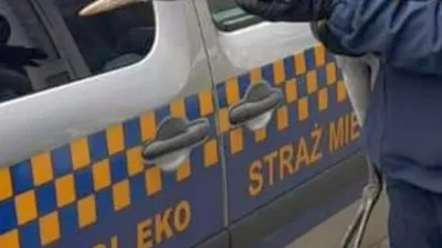 Crane varsova da bir avluya indi yorgun titriyordu ve gucsuzdu 21819