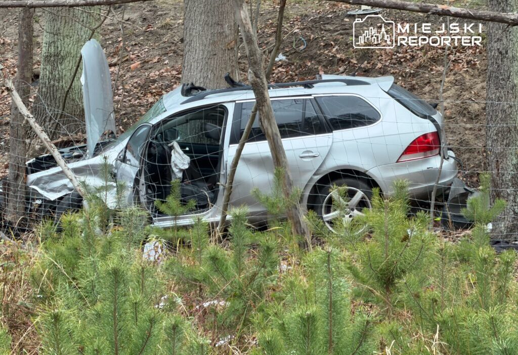 Dw631 de olumlu kaza yolcu oldu fail sarhos iki kez trafikten men edilmis ve tutuklama emriyle araniyor 26601