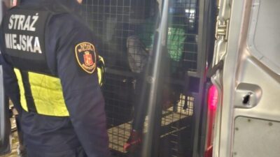 Eski sehir de bicakli saldirgan fransa dan gelen yarali turistler arasinda 21769