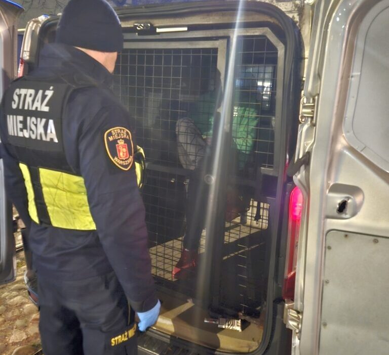 Eski sehir de bicakli saldirgan fransa dan gelen yarali turistler arasinda 21769