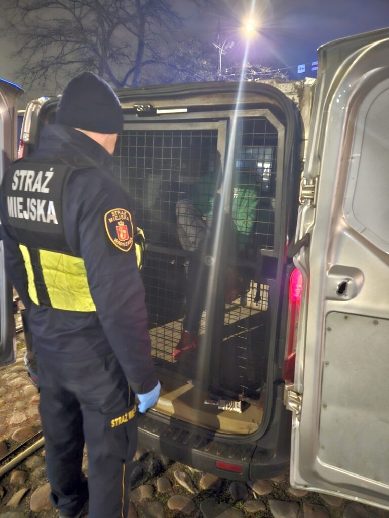 eski sehir de bicakli saldirgan fransa dan gelen yarali turistler arasinda 21769