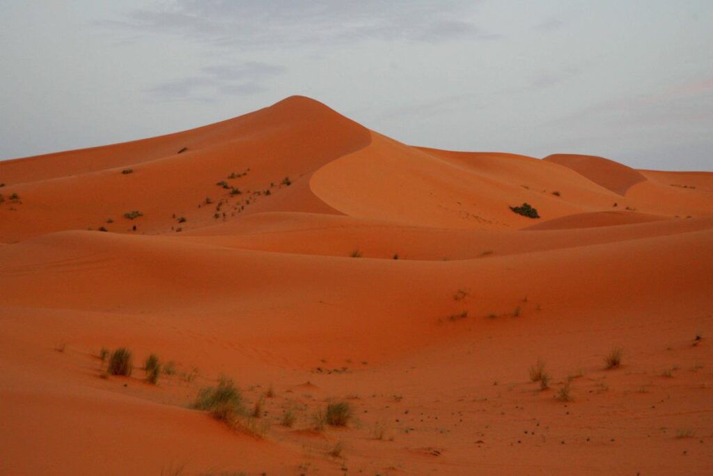 fas ta yasanan trajedi yeni gercekler i ki polonyali kadin olduruldu kiminle seyahat ettikleri biliniyor 22479
