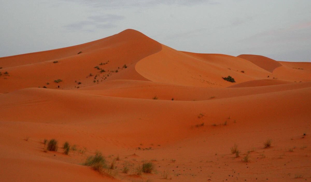 Fas ta yasanan trajedi yeni gercekler i ki polonyali kadin olduruldu kiminle seyahat ettikleri biliniyor 22479