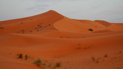 Fas ta yasanan trajedi yeni gercekler i ki polonyali kadin olduruldu kiminle seyahat ettikleri biliniyor 22479