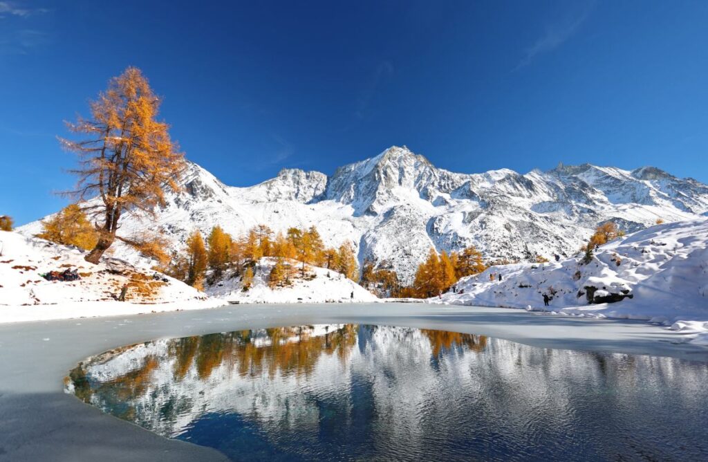 i talyan alplerinde cig dustu daha fazla ceset bulundu 20682