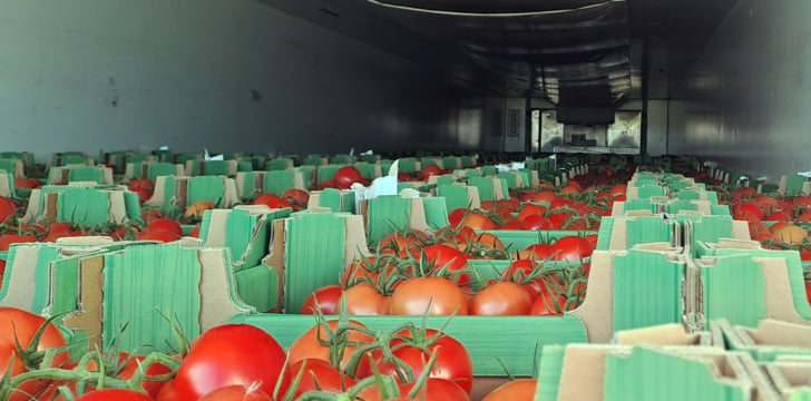 Img. Pomidor 728x360 1