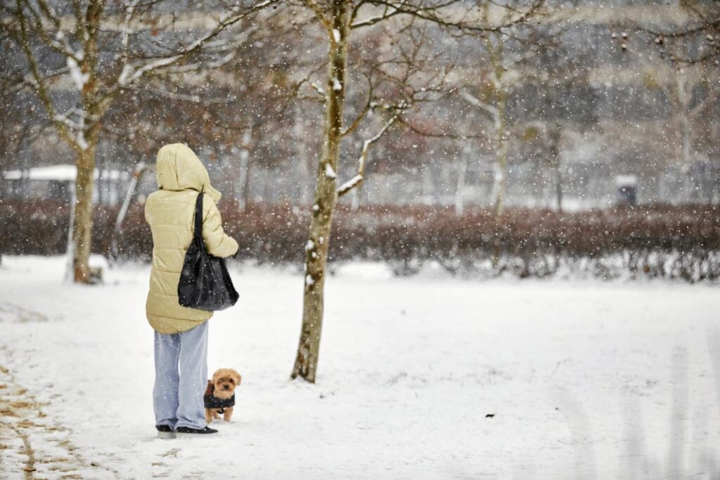 kar ne zaman yagacak son derece erken guclu bir ruzgar geliyor 21333